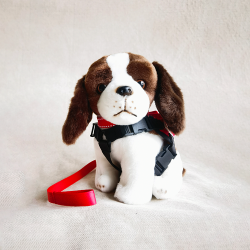 消防处坍塌搜救犬TWIX